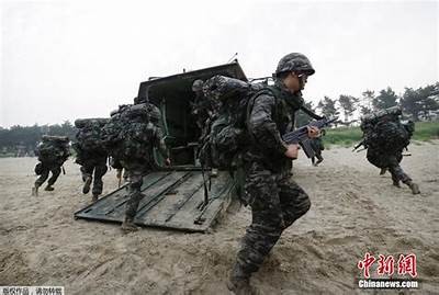 《海军陆战队员精彩电影在线看，免费享受激烈战斗与友情》