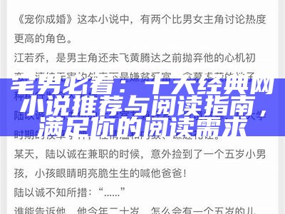 宅男必看：十大经典网小说推荐与阅读指南，满足你的阅读需求